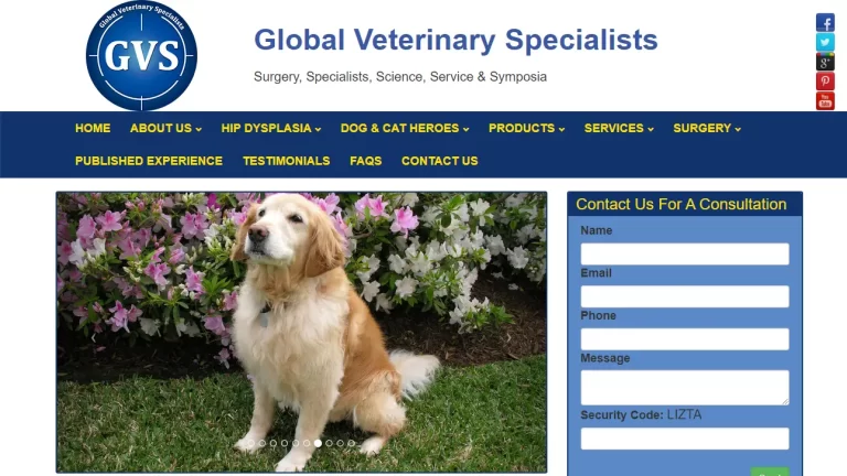 Global Veterinary Specialists